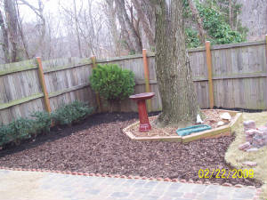 patio_2-21-09_11.JPG